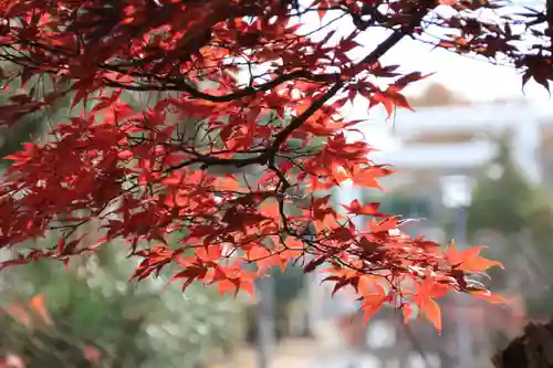 開成山大神宮の景色