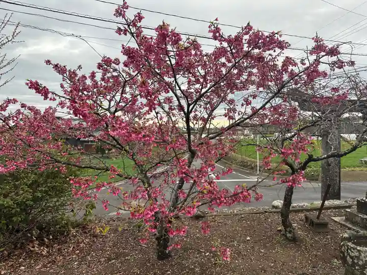 神代温泉神社(長崎県)