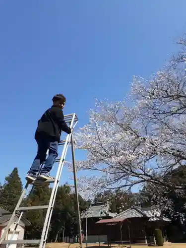 伏木香取神社の自然
