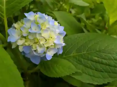 高林寺(福島県)
