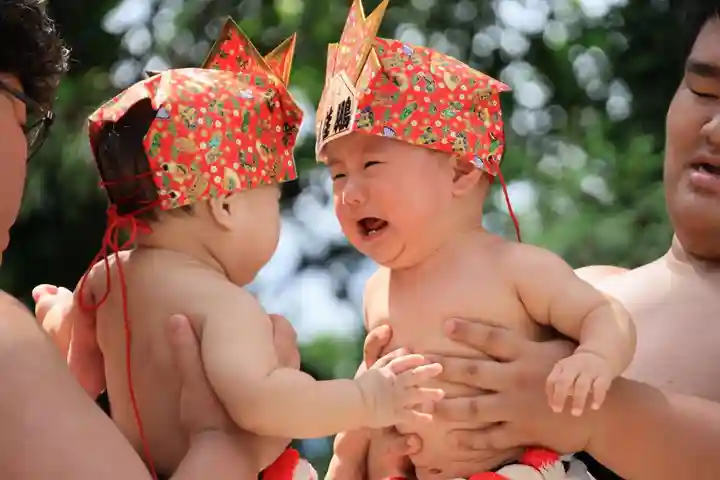 隠津島神社の体験その他