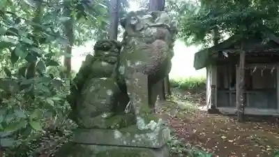 麻氐良布神社　下宮の狛犬
