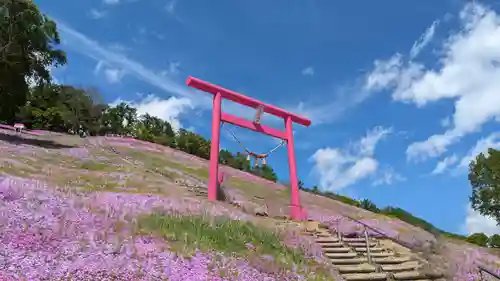 山津見神社の鳥居