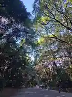 明治神宮(東京都)