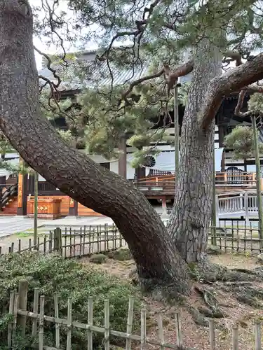 善光寺大勧進(長野県)