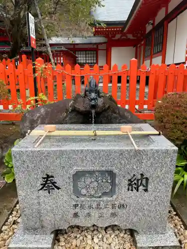 金櫻神社(山梨県)