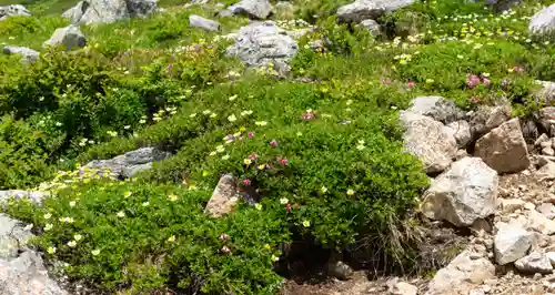 雄山神社峰本社の自然