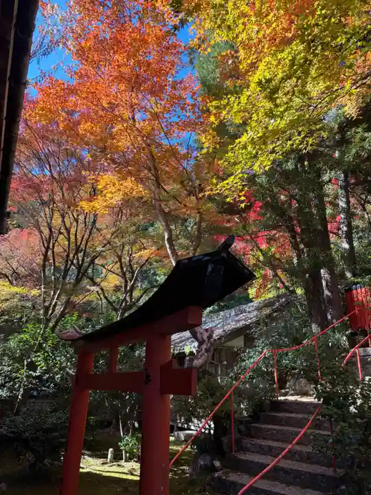 柳谷観音 楊谷寺(京都府)