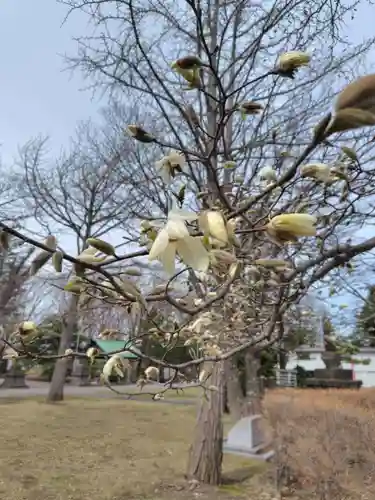 厚別神社(北海道)