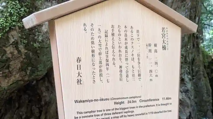 春日大社(奈良県)