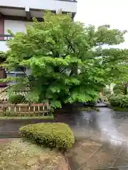 東照寺(神奈川県)