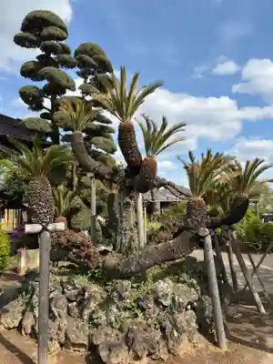 実相寺(千葉県)