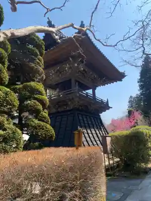 安楽寺の{uncategorized: "未分類", other: "その他", undefined: "問題あり", building: "その他建物", grave: "お墓", sacred_gate: "鳥居", guardian: "狛犬", statue: "像", buddha: "仏像", history: "歴史", nature: "自然", garden: "庭園", animal: "動物", pagoda: "塔", temizu: "手水舎", mountain_gate: "山門・神門", sanctuary: "本殿・本堂", subordinate: "末社・摂社", art: "芸術", scenery: "景色", jizo: "地蔵", ema: "絵馬", goshuin: "御朱印", omikuji: "おみくじ", items: "授与品その他", amulet: "お守り", goshuincho: "御朱印帳", eats: "食事", festival: "お祭り", votive_dance: "神楽", shichigosan: "七五三参", wedding: "結婚式", experience: "体験その他", initially: "初詣", around: "周辺", anti_infection: "感染症対策"}
