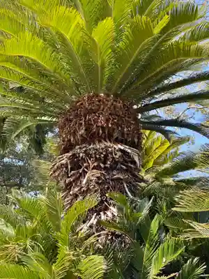 賀茂神社(兵庫県)