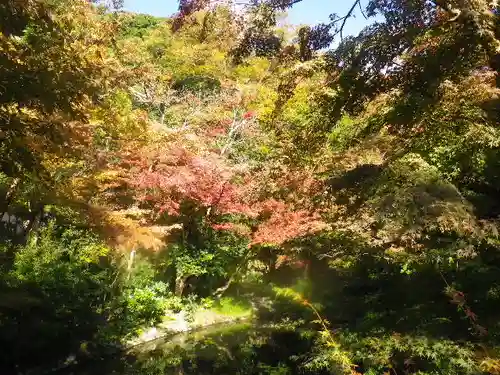 鶴岡八幡宮の自然