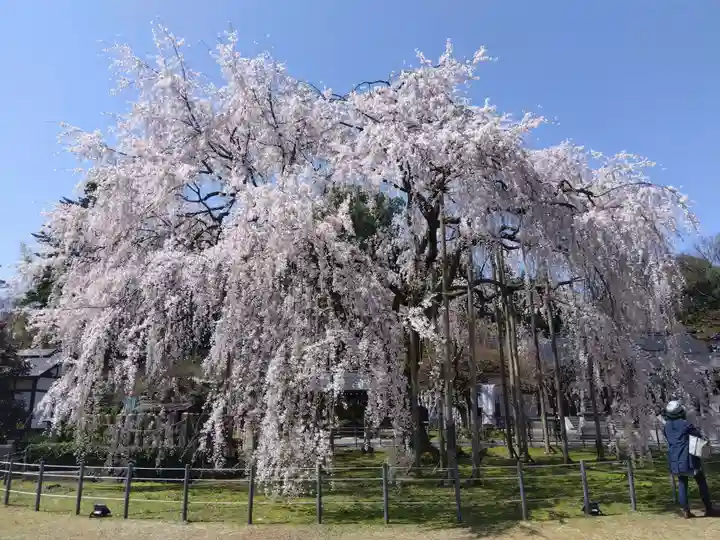 足羽神社(福井県)