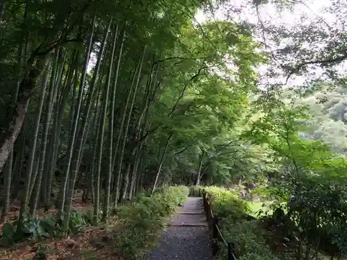 常栄寺(山口県)