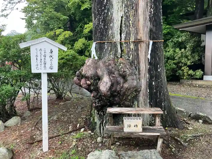 中禅寺(栃木県)