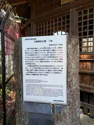 牛嶋天満宮の{uncategorized: "未分類", other: "その他", undefined: "問題あり", building: "その他建物", grave: "お墓", sacred_gate: "鳥居", guardian: "狛犬", statue: "像", buddha: "仏像", history: "歴史", nature: "自然", garden: "庭園", animal: "動物", pagoda: "塔", temizu: "手水舎", mountain_gate: "山門・神門", sanctuary: "本殿・本堂", subordinate: "末社・摂社", art: "芸術", scenery: "景色", jizo: "地蔵", ema: "絵馬", goshuin: "御朱印", omikuji: "おみくじ", items: "授与品その他", amulet: "お守り", goshuincho: "御朱印帳", eats: "食事", festival: "お祭り", votive_dance: "神楽", shichigosan: "七五三参", wedding: "結婚式", experience: "体験その他", initially: "初詣", around: "周辺", anti_infection: "感染症対策"}