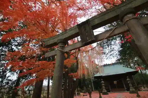 國祖神社の鳥居