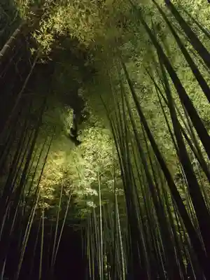 高台寺（高台寿聖禅寺・高臺寺）(京都府)