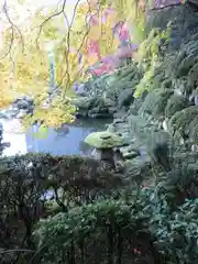 當麻寺の庭園