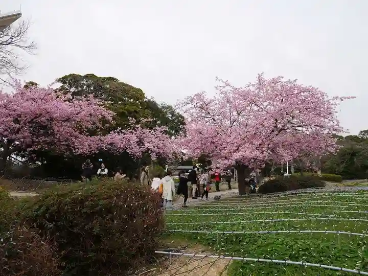 江島神社の自然