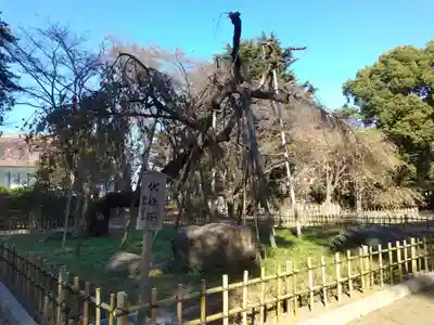 弘法寺(千葉県)