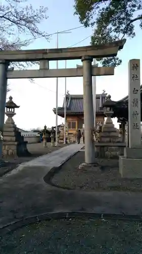 白髭神社の鳥居