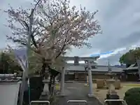 名古曽蛭子神社(和歌山県)