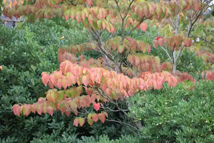 開成山大神宮の庭園