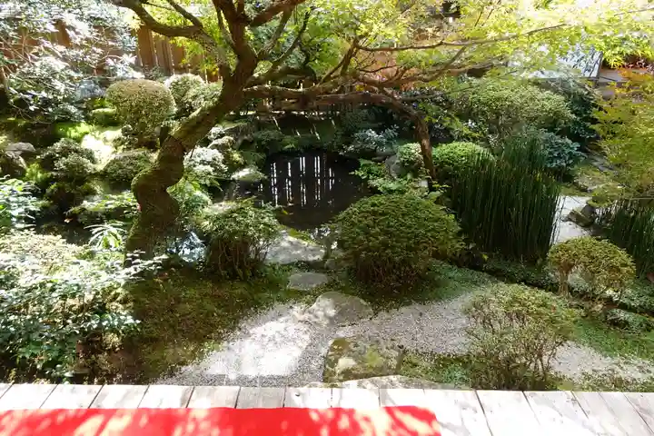 宝泉院の庭園