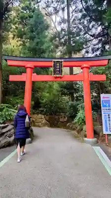 箱根神社(神奈川県)