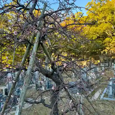 伊勢の国 四天王寺(三重県)