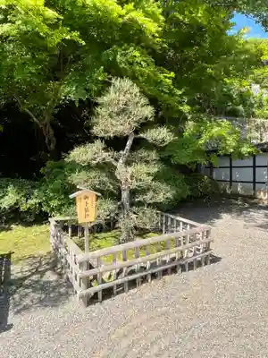 長谷寺(奈良県)