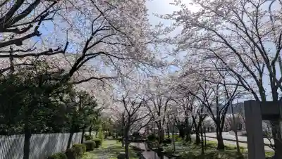 諏訪大社(長野県)