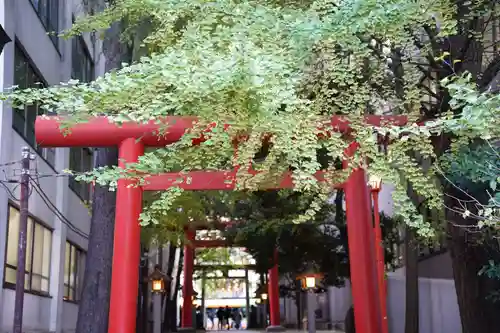 花園神社の鳥居