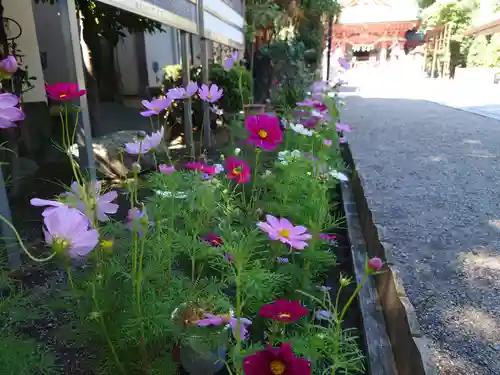 前川神社の自然