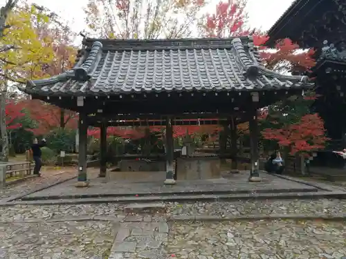 真正極楽寺（真如堂）の手水舎