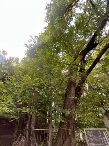 小室浅間神社(山梨県)