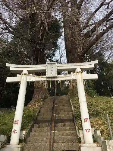 水神社の鳥居