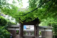 極楽寺（霊鷲山感應院極楽律寺）の山門