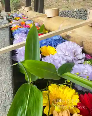 群馬県護国神社(群馬県)