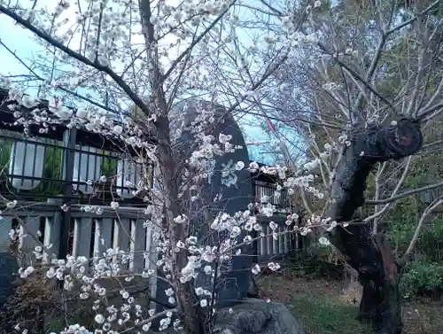 阿部野神社の自然