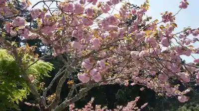 清澄寺(千葉県)
