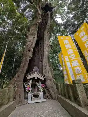 宝城坊(神奈川県)
