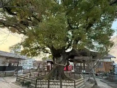 國相寺の{uncategorized: "未分類", other: "その他", undefined: "問題あり", building: "その他建物", grave: "お墓", sacred_gate: "鳥居", guardian: "狛犬", statue: "像", buddha: "仏像", history: "歴史", nature: "自然", garden: "庭園", animal: "動物", pagoda: "塔", temizu: "手水舎", mountain_gate: "山門・神門", sanctuary: "本殿・本堂", subordinate: "末社・摂社", art: "芸術", scenery: "景色", jizo: "地蔵", ema: "絵馬", goshuin: "御朱印", omikuji: "おみくじ", items: "授与品その他", amulet: "お守り", goshuincho: "御朱印帳", eats: "食事", festival: "お祭り", votive_dance: "神楽", shichigosan: "七五三参", wedding: "結婚式", experience: "体験その他", initially: "初詣", around: "周辺", anti_infection: "感染症対策"}
