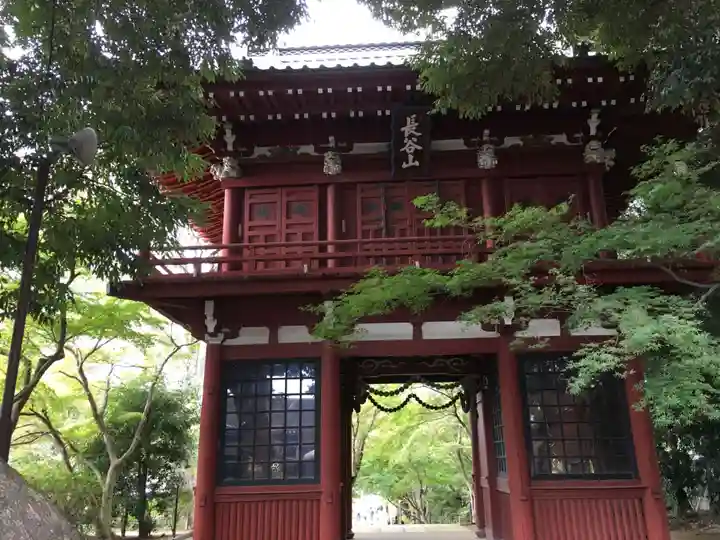 本土寺の山門・神門