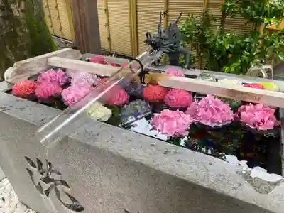 蛇窪神社の手水舎