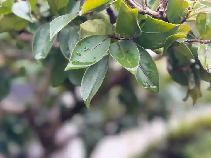 西方山極楽寺(岐阜県)